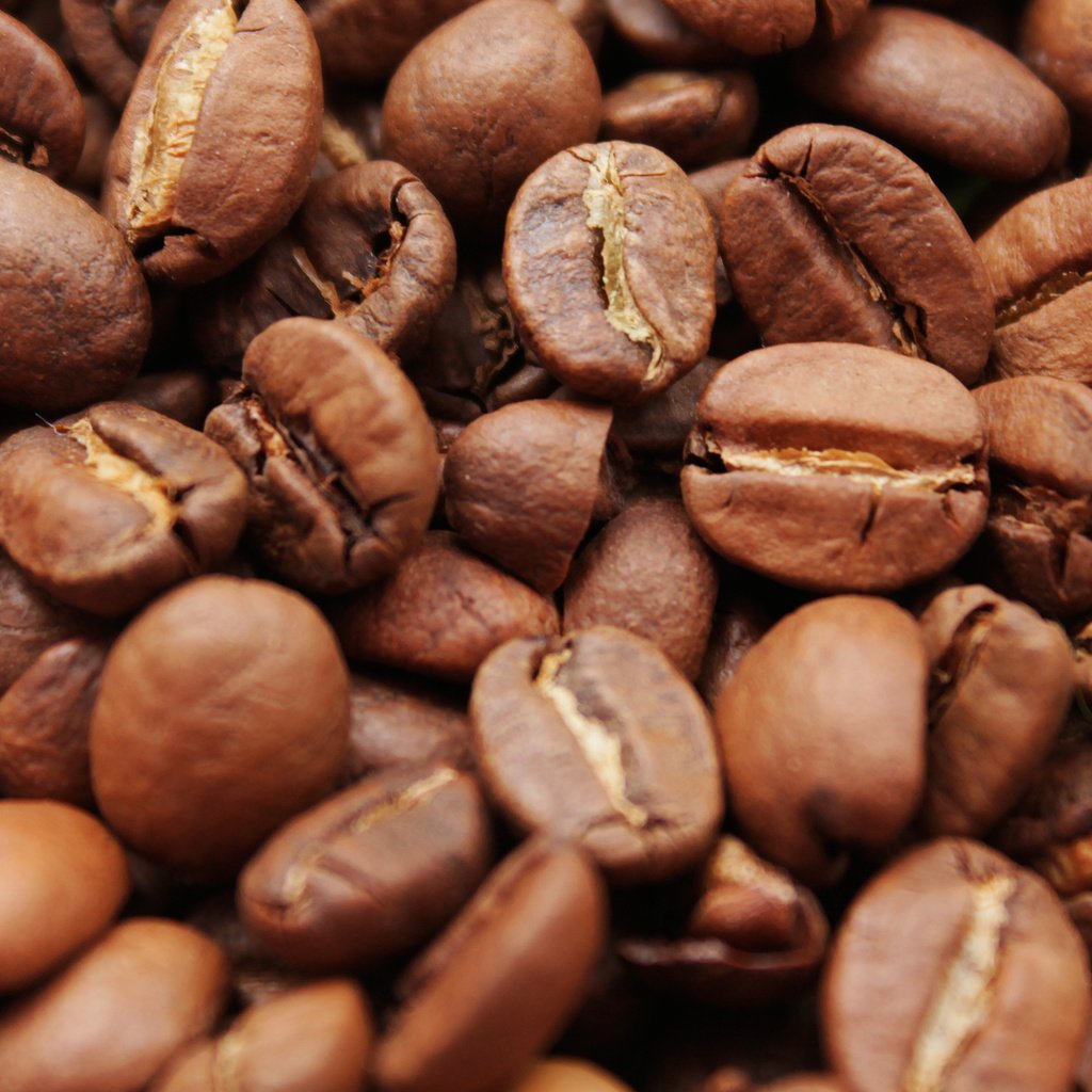 Обои кофе, кофейные зерна, крупным планом, coffee, coffee beans, closeup разрешение 2560x1600 Загрузить