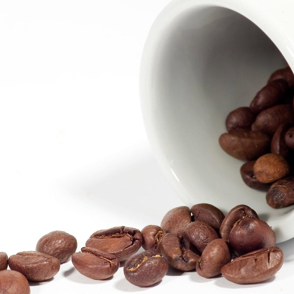 Обои зерна, кофе, белый фон, grain, coffee, white background разрешение 1920x1200 Загрузить