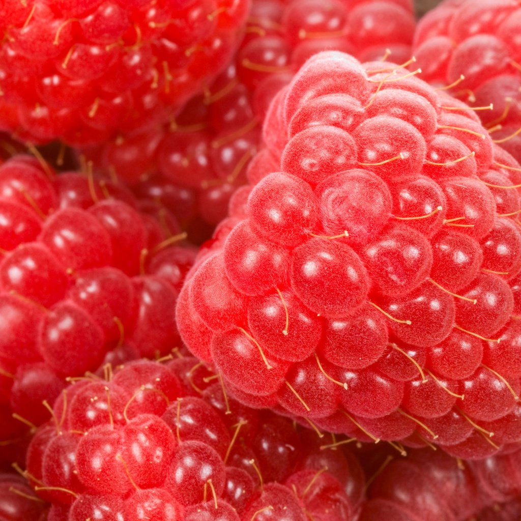 Обои макро, малина, ягода, спелая, красная малинка, macro, raspberry, berry, ripe, red raspberry разрешение 1920x1252 Загрузить