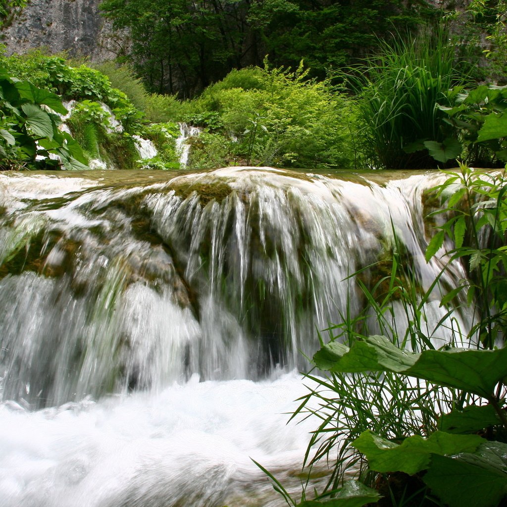 Обои вода, природа, зелень, пейзаж, лето, водопад, небольшой водопад, water, nature, greens, landscape, summer, waterfall, a small waterfall разрешение 1920x1280 Загрузить