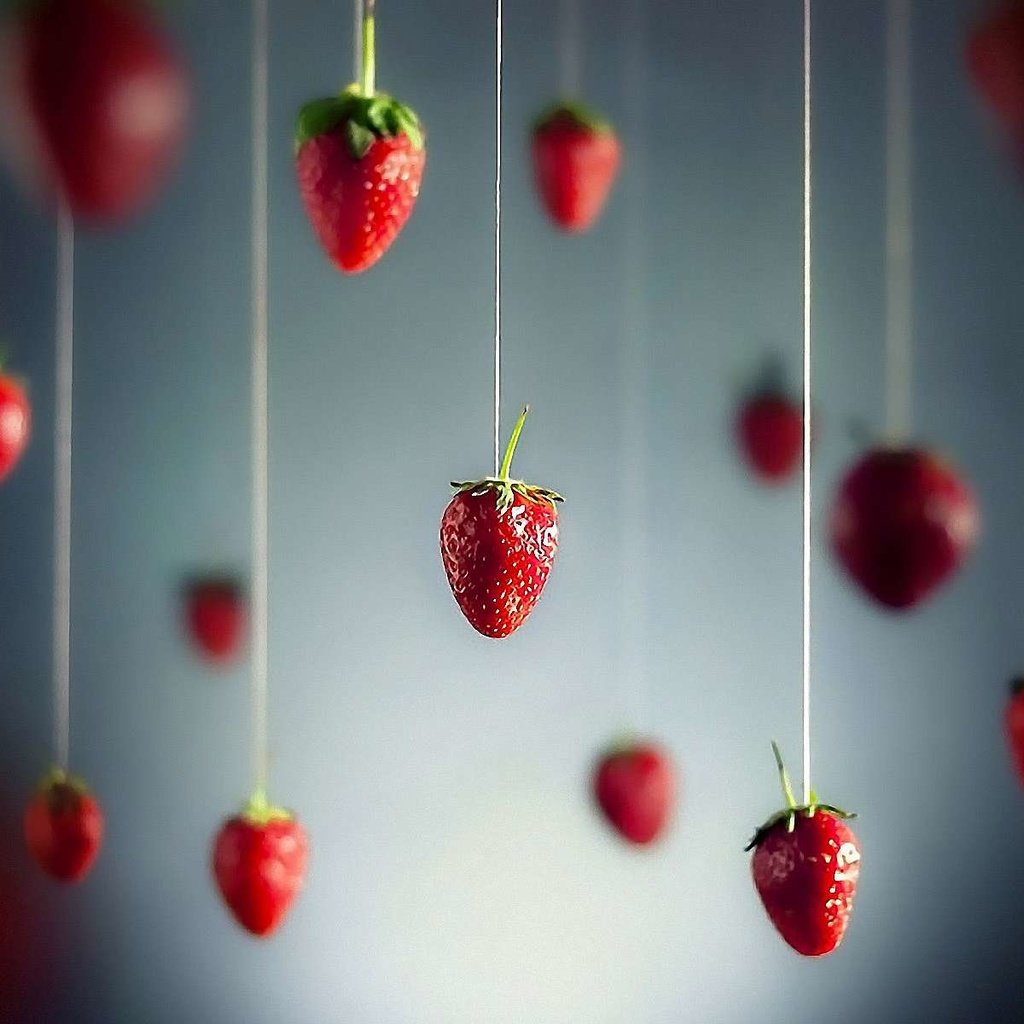 Обои ягода, клубника, berry, strawberry разрешение 1920x1200 Загрузить