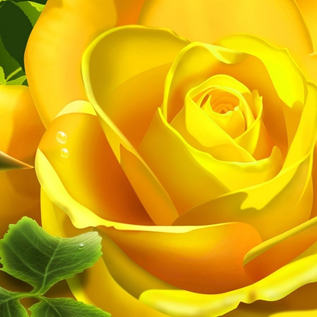 Желтые розы в 3д