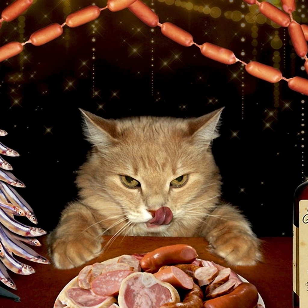 Обои гирлянда, морда, елка-рыбки, колбаса, новый год, выпивка, кот, усы, сосиски, кот за столом, мясо, пир, язык, обжора, бутылка, домашний питомец, праздник, нарезка, cutting, garland, face, tree-fish, sausage, new year, booze, cat, mustache, cat at the table, meat, feast, language, glutton, bottle, pet, holiday разрешение 1920x1200 Загрузить
