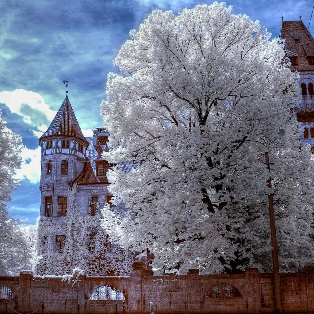 Обои зима, трансильвания, замок дракулы, winter, transylvania, dracula's castle разрешение 1920x1200 Загрузить