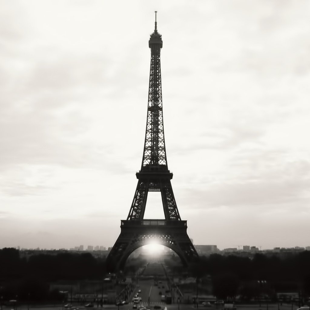 Обои фото, черно-белая, париж, эйфелева башня, photo, black and white, paris, eiffel tower разрешение 1920x1200 Загрузить