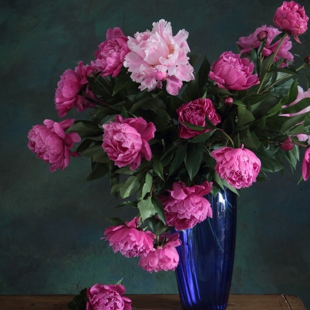 Обои цветы, букет, розовые, ваза, синяя, стеклянная ваза, пион, пионы, flowers, bouquet, pink, vase, blue, glass vase, peony, peonies разрешение 1920x1080 Загрузить
