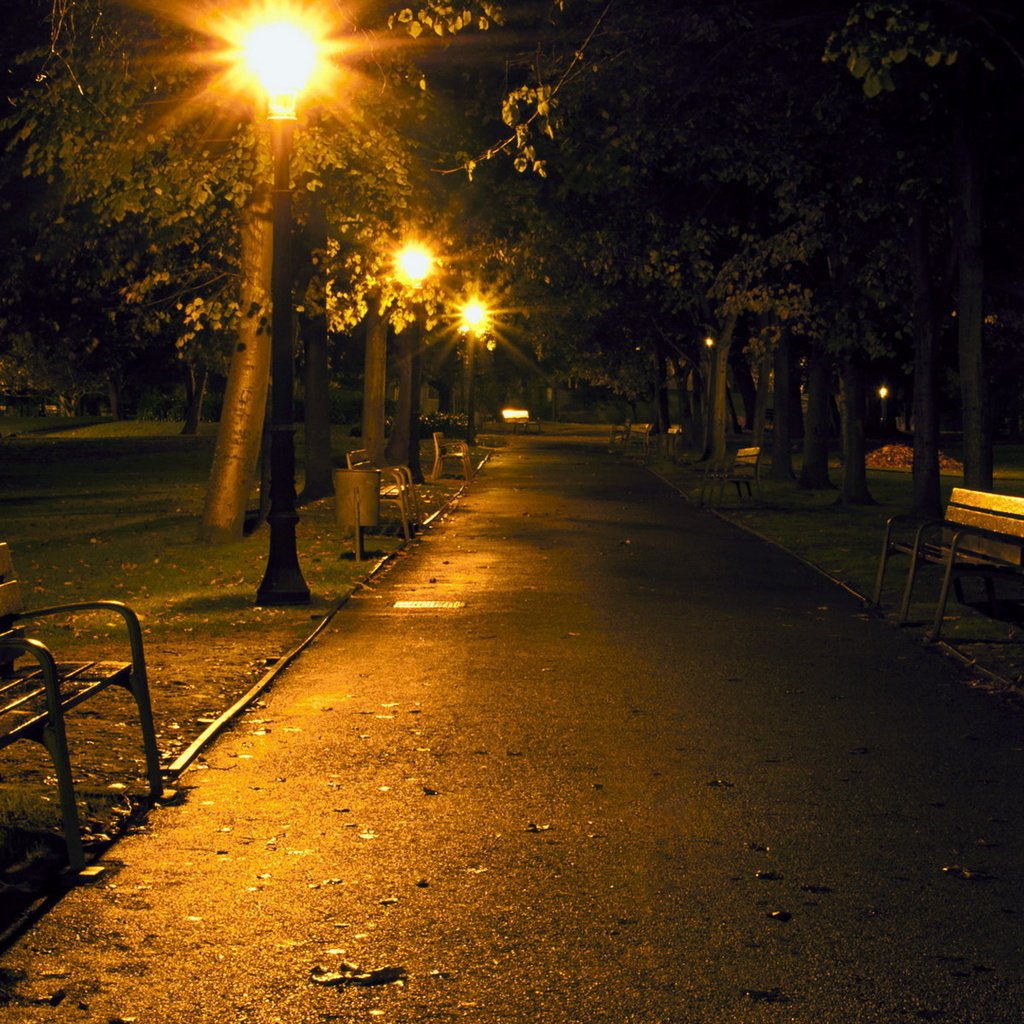 Вечер улица фонарь. Прогулка вечером. Улица вечером. Ночь в парке. Улица летом ночью.