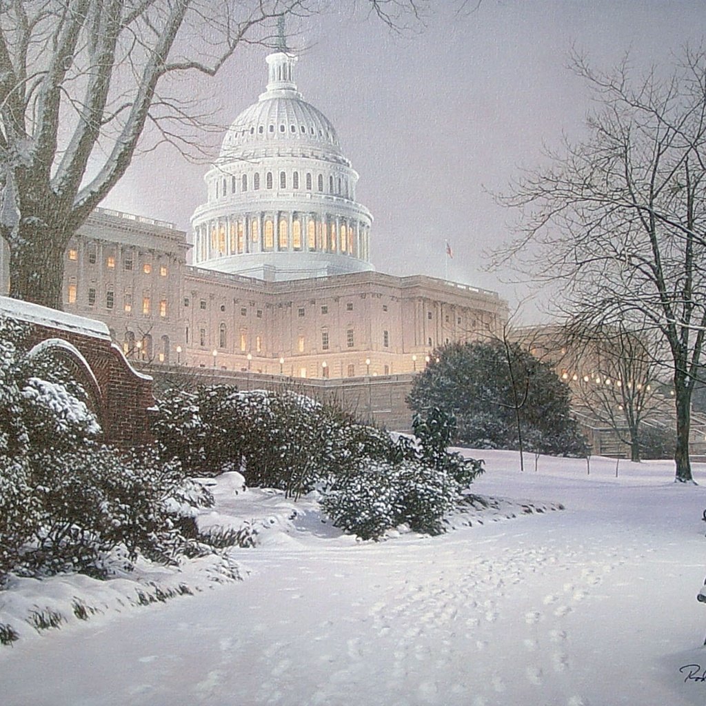 Обои парк, вашингтон, сша, капитолий, холм, park, washington, usa, capitol, hill разрешение 1944x1290 Загрузить