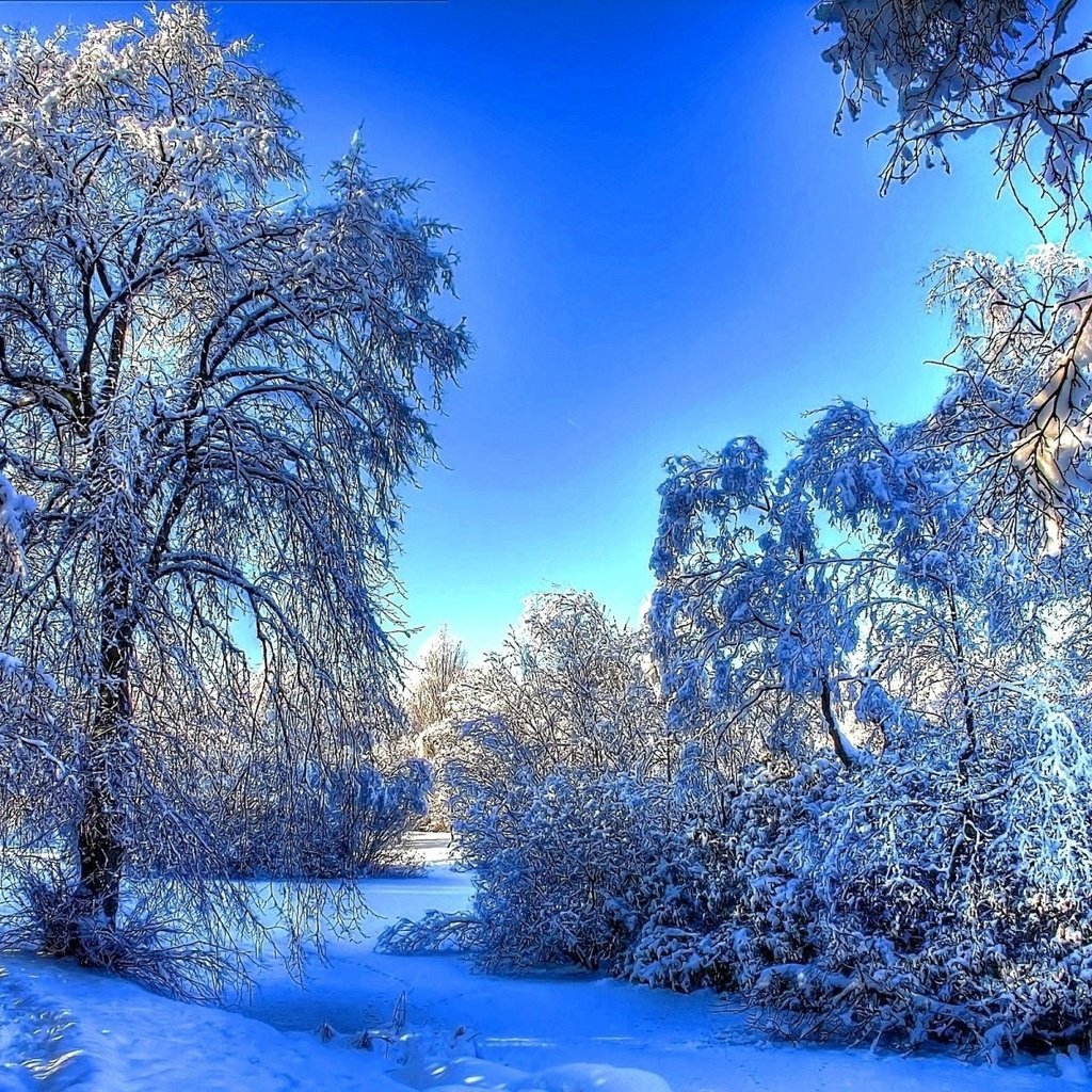 Фотографии зимы