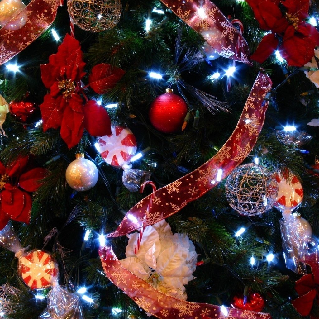 Обои цветы, лента, огни, праздник, новый год, рождество, елочные игрушки, елка, новогодние игрушки, шары, новогодние украшения, зима, пуансеттия, снежинки, новогодний шар, гирлянды, flowers, tape, lights, holiday, christmas, new year, christmas decorations, tree, christmas toys, balls, winter, poinsettia, snowflakes, christmas ball, garland разрешение 2560x1600 Загрузить