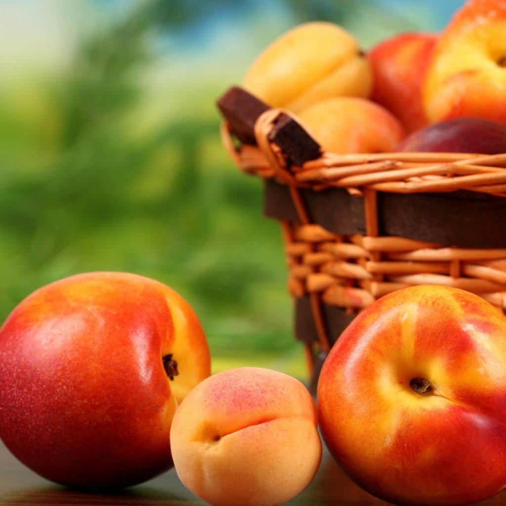 Обои фрукты, корзина, плоды, персики, абрикосы, нектарин, fruit, basket, peaches, apricots, nectarine разрешение 2560x1600 Загрузить