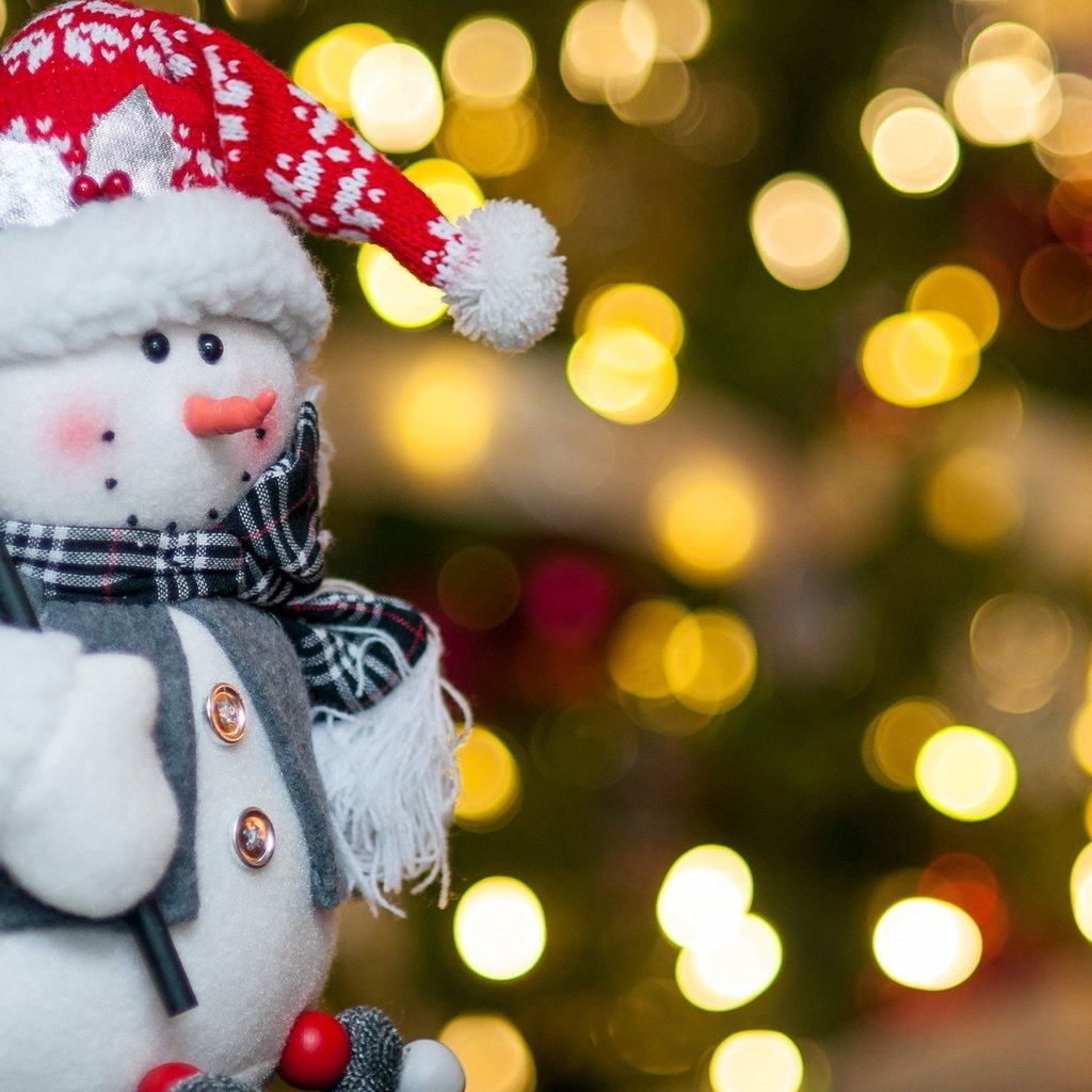 Обои огни, новый год, снеговик, праздник, рождество, новогодние украшения, lights, new year, snowman, holiday, christmas, christmas decorations разрешение 1920x1200 Загрузить