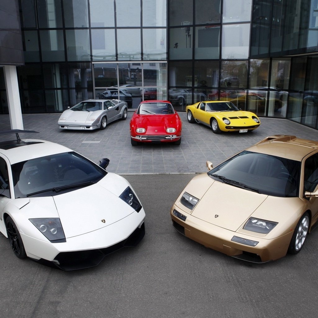 Обои ламборгини, murcielago, countach, 350 gt, miura, диабло, lamborghini, diablo разрешение 2048x1536 Загрузить