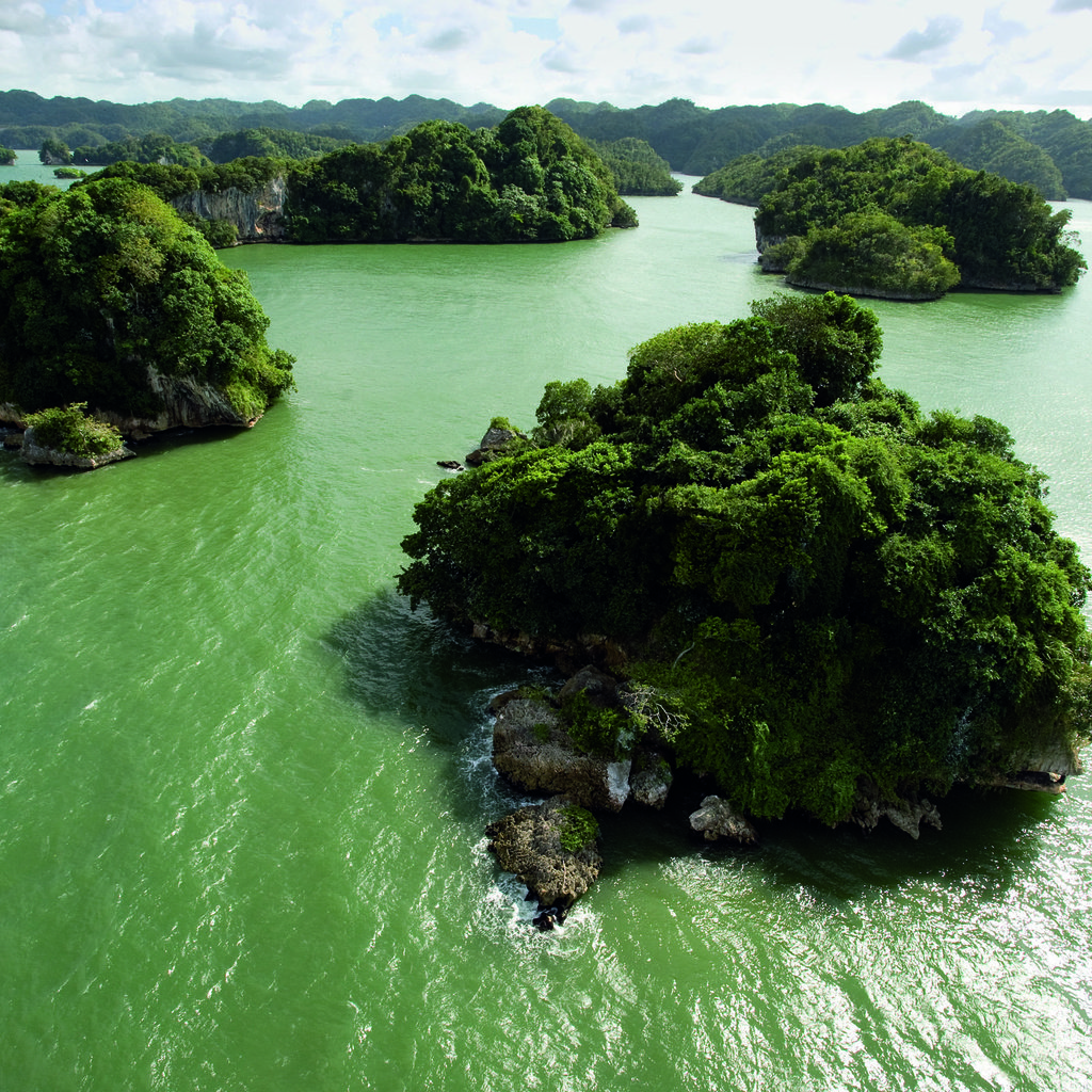 Обои вода, зелень, суша, острова, материк, water, greens, drying, islands, mainland разрешение 2560x1600 Загрузить