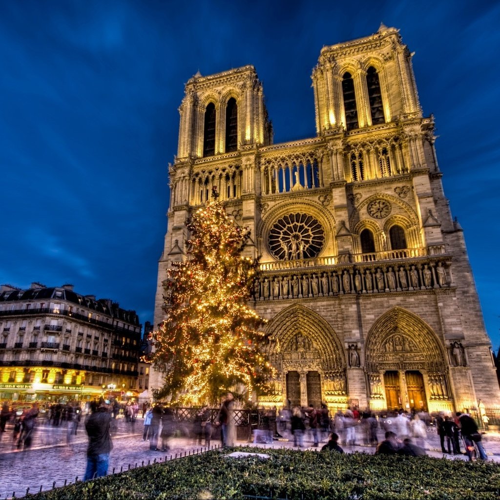 Обои франция, собор парижской богоматери, нотр-дам-де-пари, france, notre dame cathedral, notre dame de paris разрешение 1920x1440 Загрузить