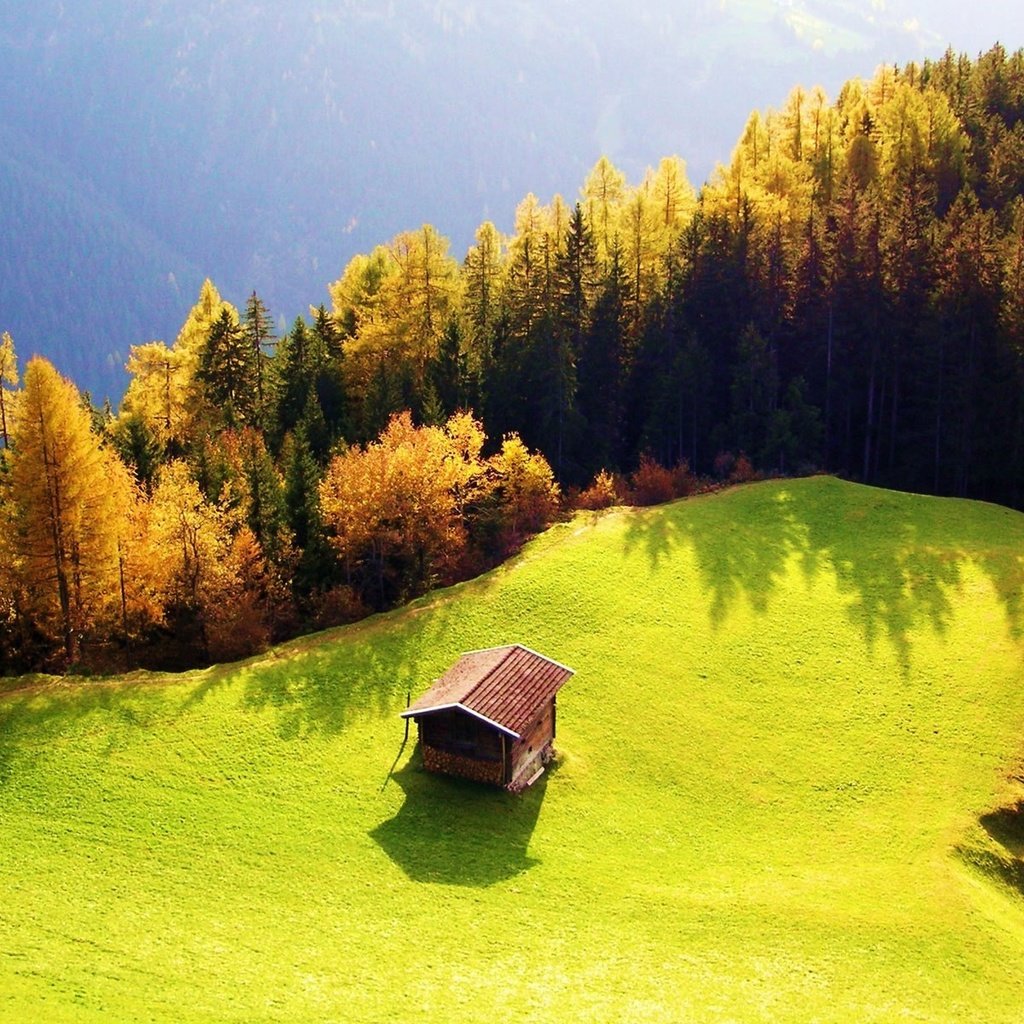 Обои трава, роща, деревья, горы, лес, осень, луг, дом, зеленая, grass, grove, trees, mountains, forest, autumn, meadow, house, green разрешение 1920x1200 Загрузить