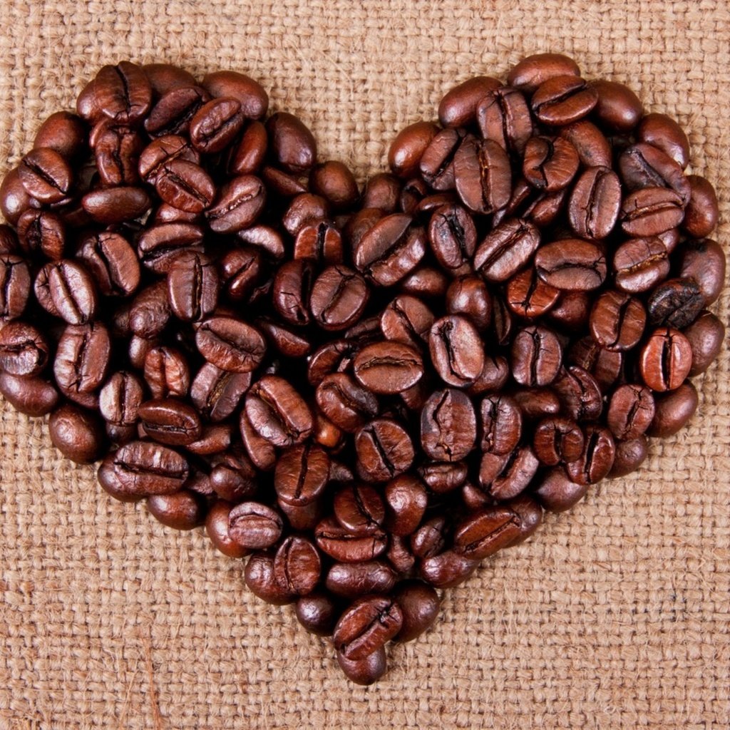 Обои зерна, кофе, сердце, любовь, ткань, кофейные, grain, coffee, heart, love, fabric разрешение 2560x1600 Загрузить