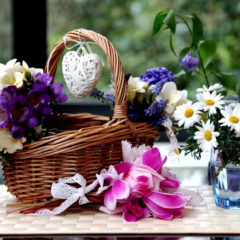 Обои цветы, ромашки, корзинка, цикламены, гиацинты, фрезии, flowers, chamomile, basket, cyclamen, hyacinths, freesia разрешение 3600x2430 Загрузить