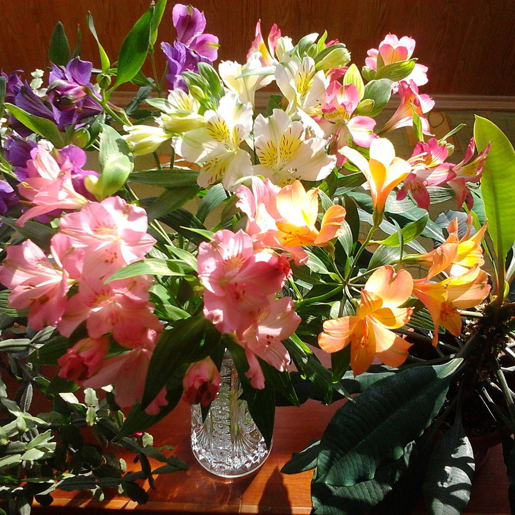 Обои цветы, букет, рододендрон, flowers, bouquet, rhododendron разрешение 2048x1536 Загрузить