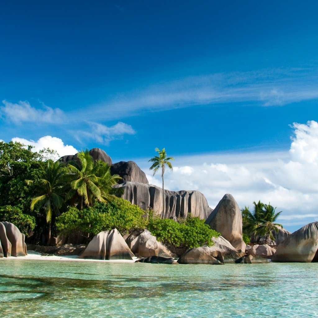 Обои камни, пляж, пальмы, тропики, сейшелы, stones, beach, palm trees, tropics, seychelles разрешение 1920x1080 Загрузить
