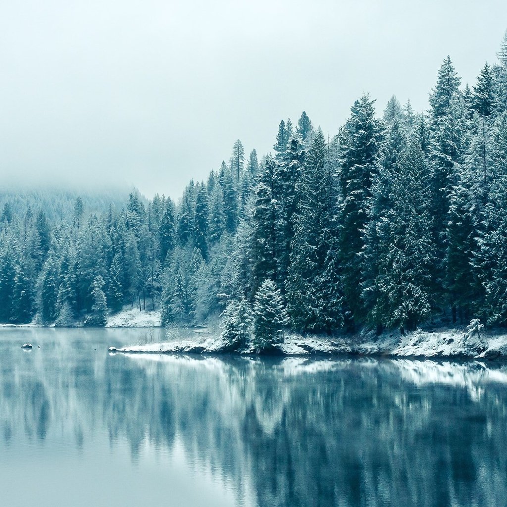 Обои деревья, озеро, снег, лес, зима, отражение, туман, trees, lake, snow, forest, winter, reflection, fog разрешение 1920x1200 Загрузить