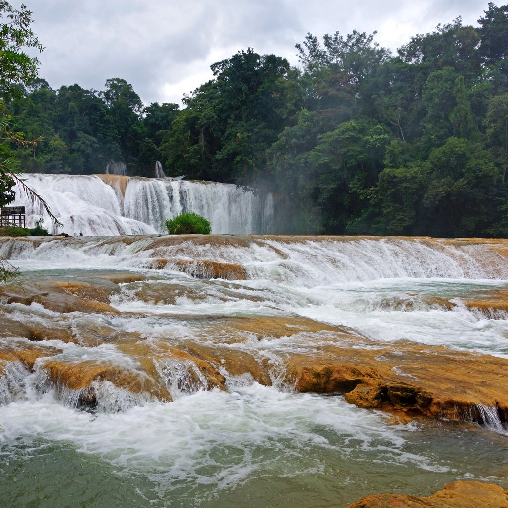 Обои деревья, река, пороги, водопад, мексика, каскад, agua azul, чьяпас, trees, river, thresholds, waterfall, mexico, cascade, chiapas разрешение 2190x1460 Загрузить