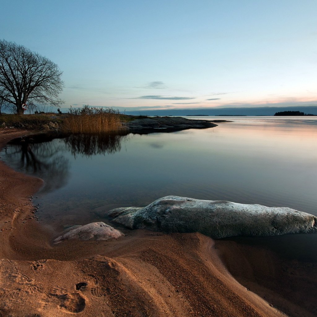 Обои деревья, река, берег, закат, море, песок, trees, river, shore, sunset, sea, sand разрешение 2560x1600 Загрузить