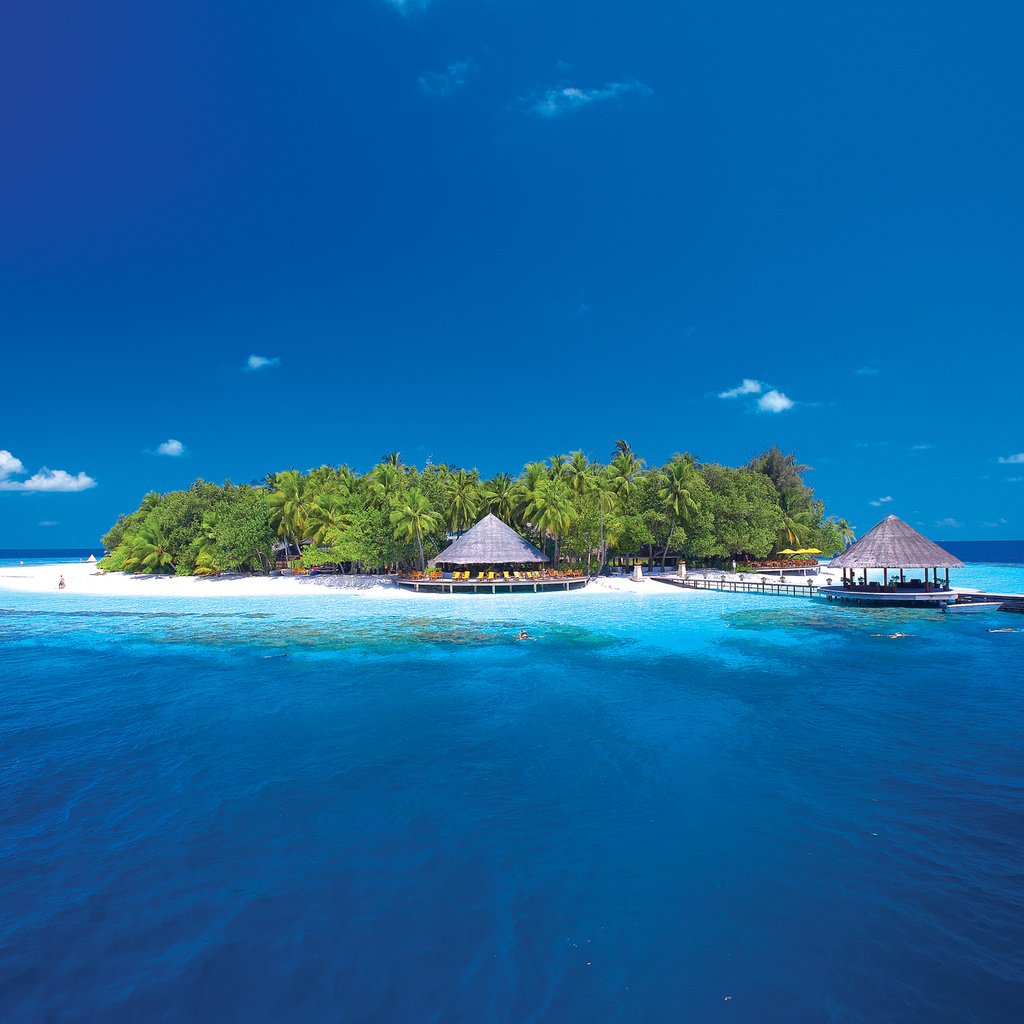 Обои пляж, остров, тропики, мальдивы, beach, island, tropics, the maldives разрешение 2362x1571 Загрузить