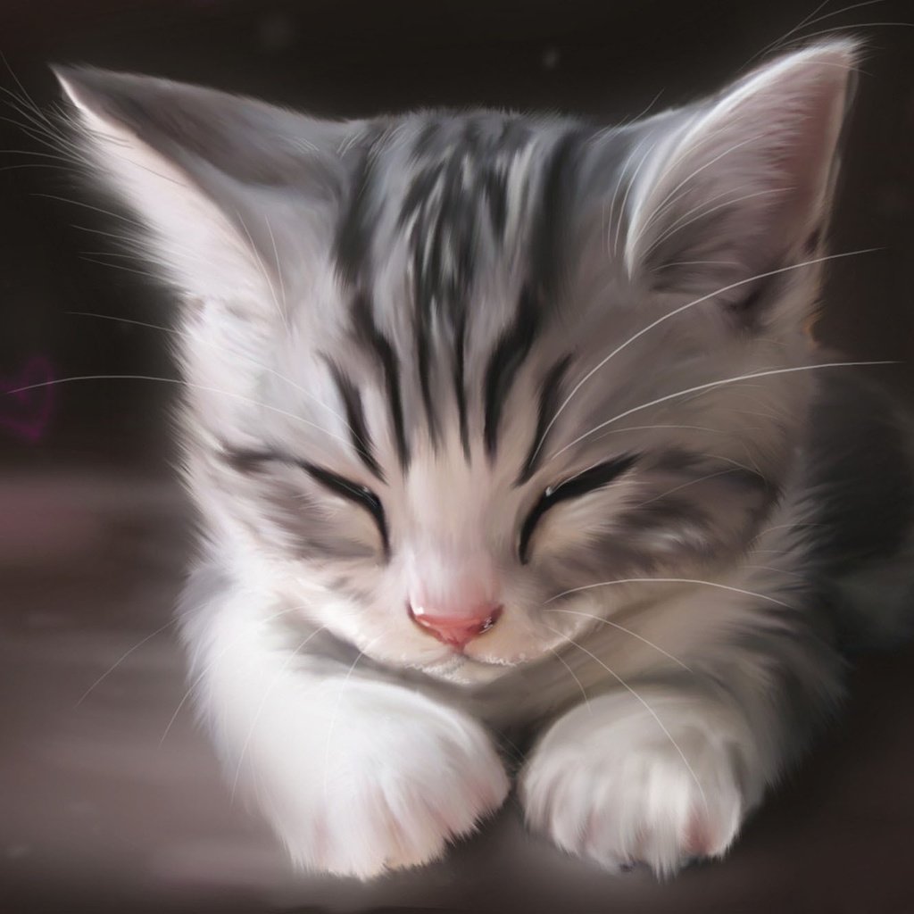 Спящий котенок арт