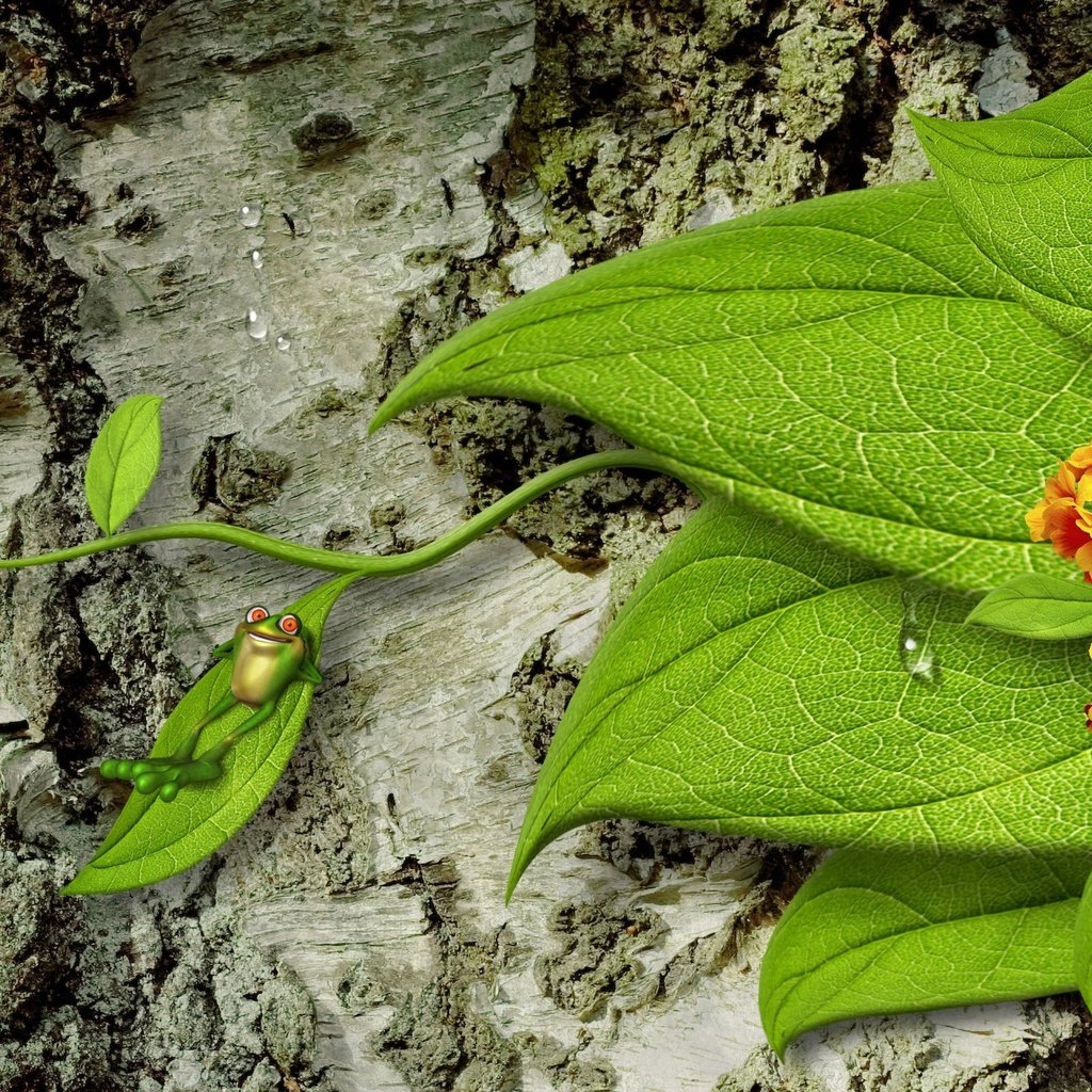 Обои цветы, дерево, листья, капли, лягушка, кора, 3d-графика, flowers, tree, leaves, drops, frog, bark, 3d graphics разрешение 2560x1600 Загрузить