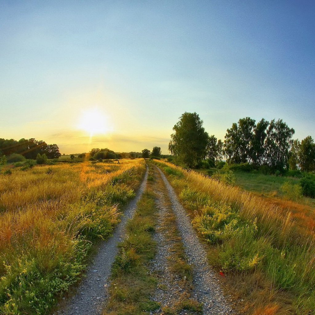 Обои небо, дорога, трава, деревья, восход, солнце, поле, лето, the sky, road, grass, trees, sunrise, the sun, field, summer разрешение 1920x1200 Загрузить