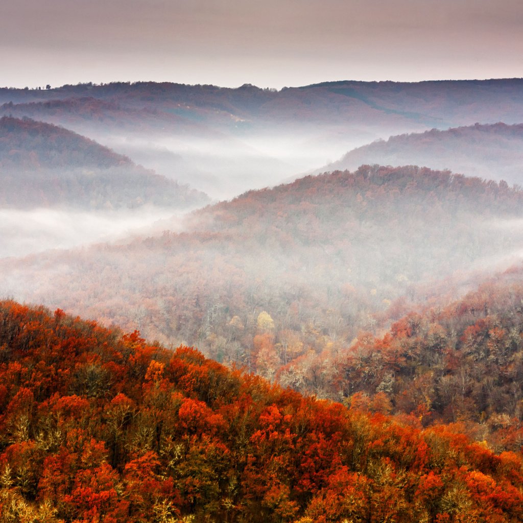 Обои небо, горы, холмы, природа, лес, туман, осень, the sky, mountains, hills, nature, forest, fog, autumn разрешение 1920x1280 Загрузить