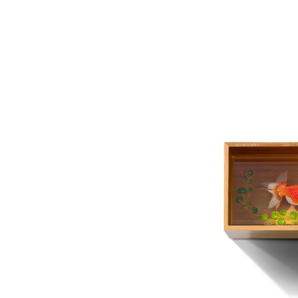 Обои вода, белый фон, рыбка, рыба, золотая, емкость, ряска, water, white background, fish, gold, capacity, duckweed разрешение 1920x1080 Загрузить