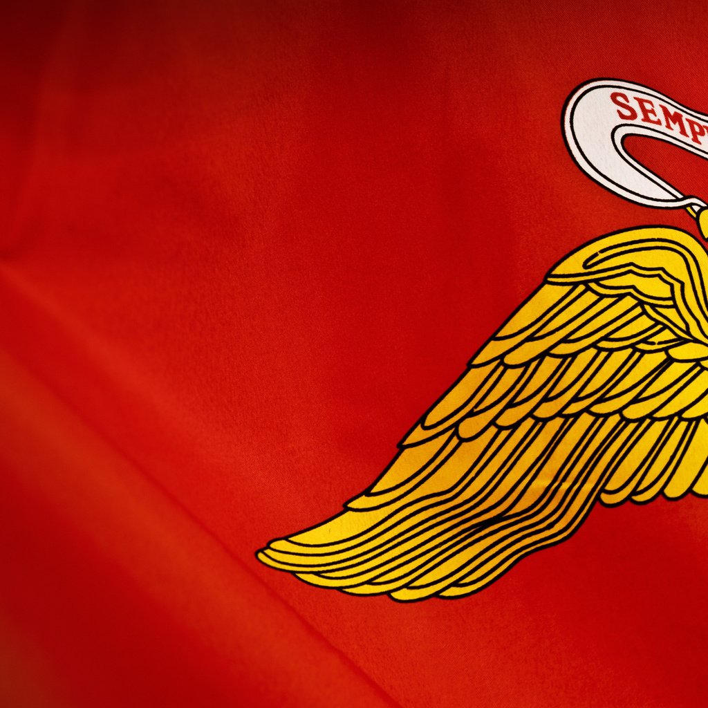 Обои желтый, красный, орел, флаг, yellow, red, eagle, flag разрешение 2560x1600 Загрузить