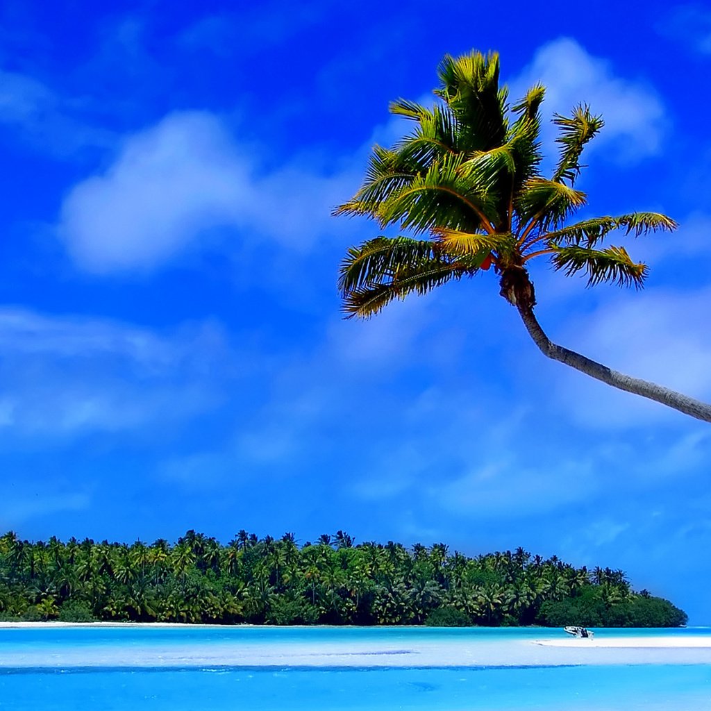 Обои остров, тропики, мальдивы, island, tropics, the maldives разрешение 1920x1080 Загрузить