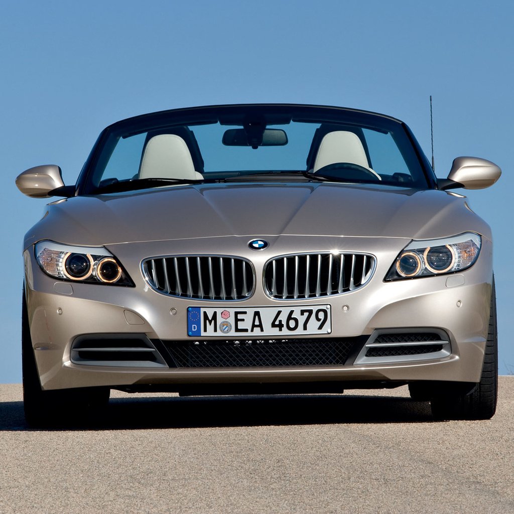 BMW z4 2010