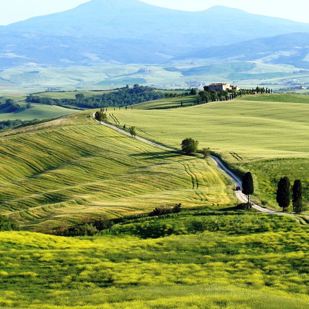 Обои поля, италия, тоскана, toscana, pienza, пьенца, terrapille, field, italy, tuscany разрешение 2560x1440 Загрузить