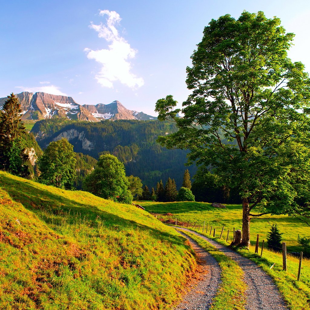 Обои дорога, горы, road, mountains разрешение 1920x1440 Загрузить