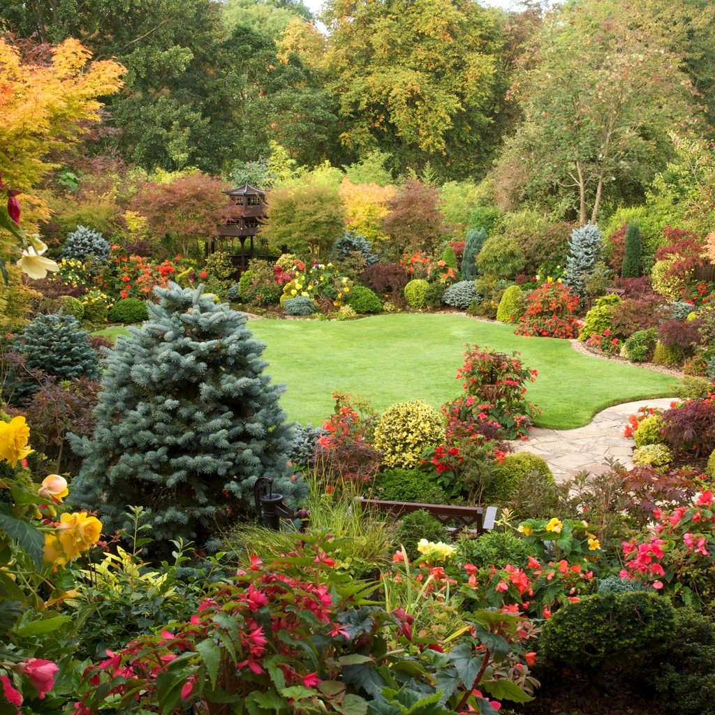 Обои цветы, скамейка, релакс, полянка, японский садик, flowers, bench, relax, clearing, japanese garden разрешение 2500x1667 Загрузить