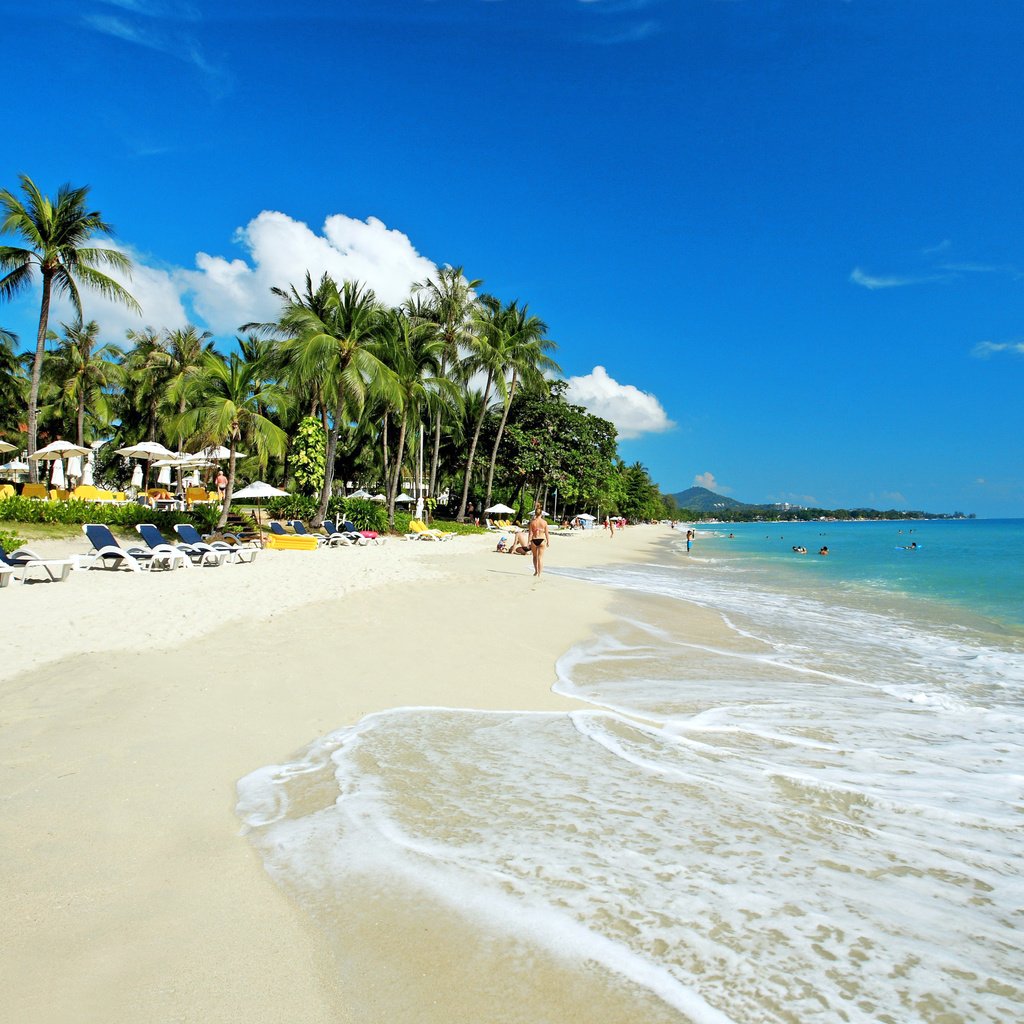 Обои пляж, тропики, beach, tropics разрешение 3180x2166 Загрузить