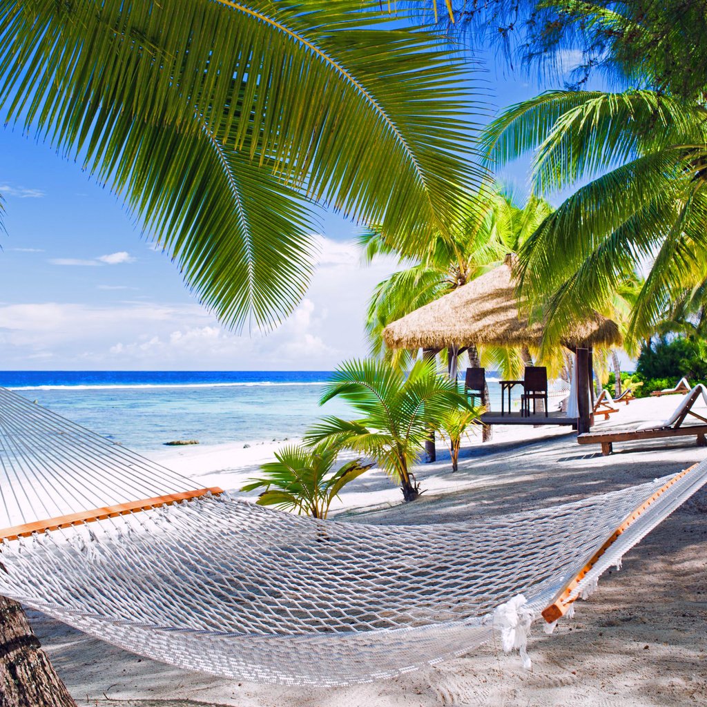 Обои пляж, гамак, тропики, мальдивы, beach, hammock, tropics, the maldives разрешение 2668x1779 Загрузить