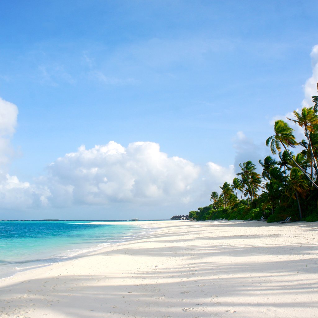 Обои пляж, тропики, beach, tropics разрешение 4505x2940 Загрузить