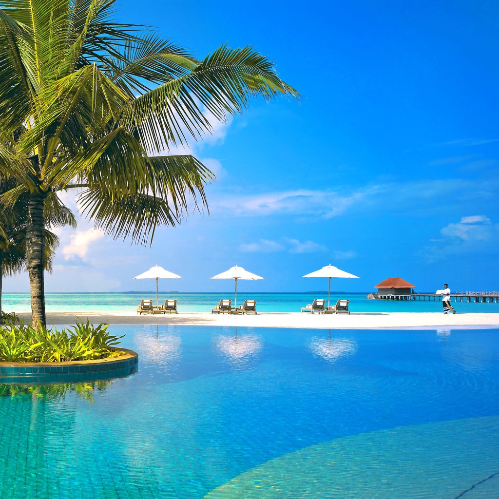 Обои море, курорт, тропики, мальдивы, sea, resort, tropics, the maldives разрешение 3008x2262 Загрузить