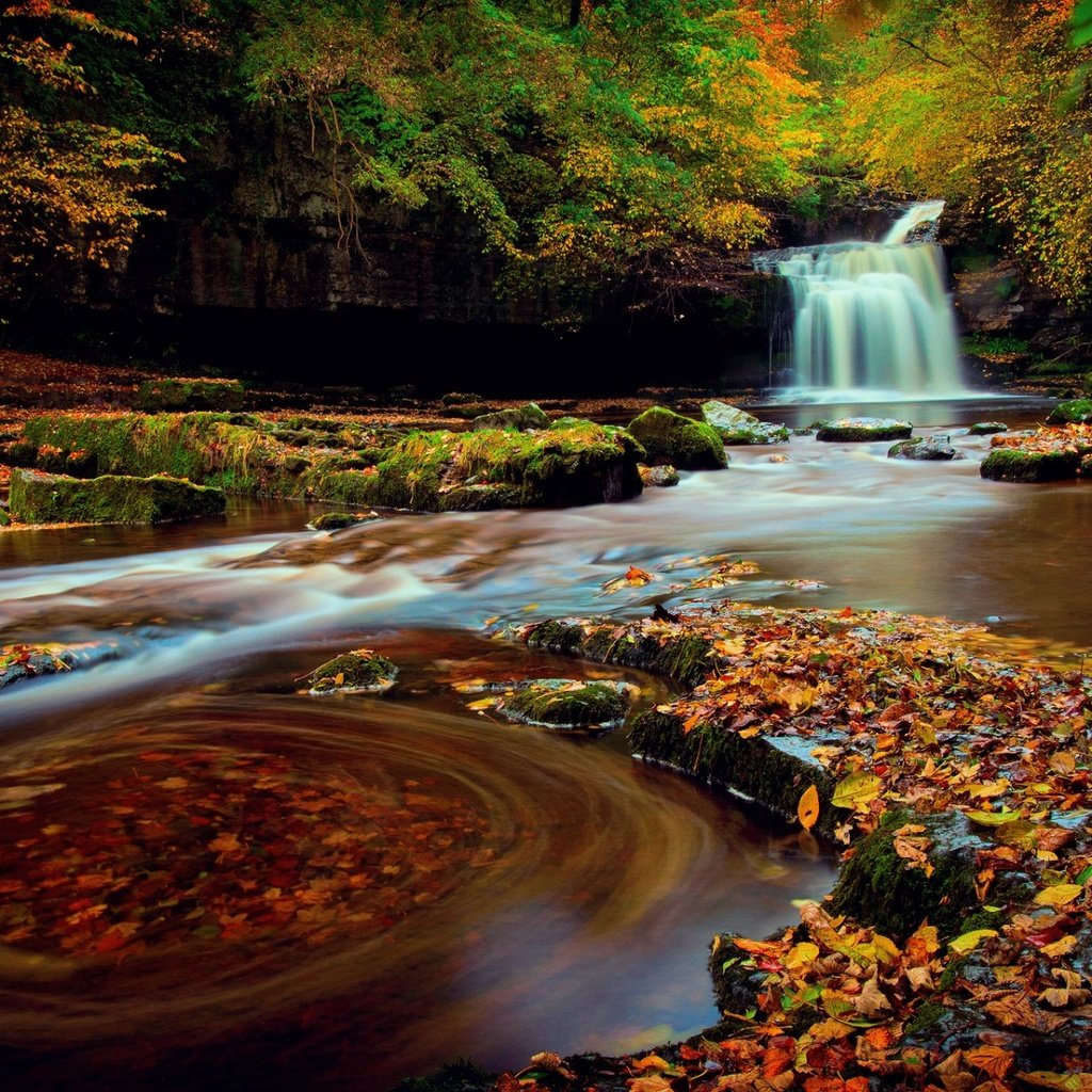 Обои природа, лес, водопад, осень, англия, йоркшир, nature, forest, waterfall, autumn, england, yorkshire разрешение 1920x1200 Загрузить