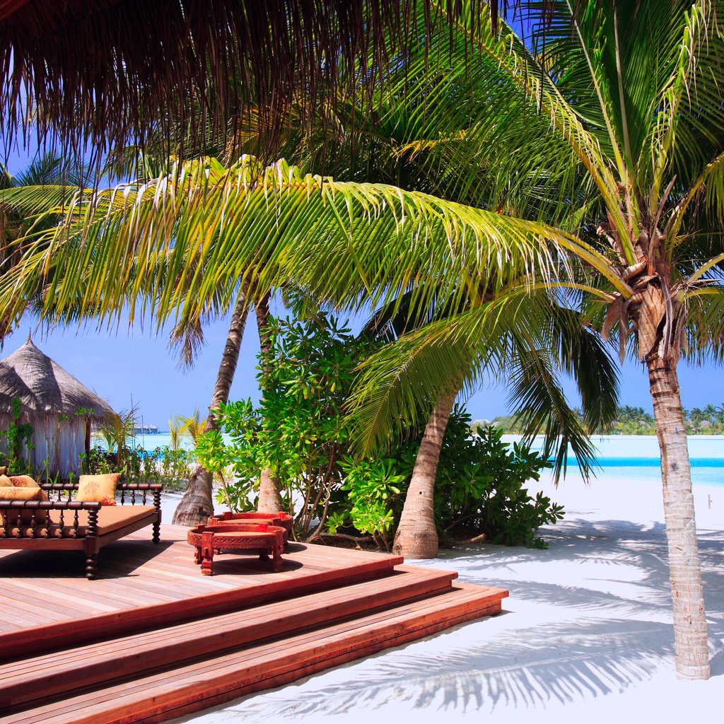 Обои море, пляж, курорт, тропики, мальдивы, sea, beach, resort, tropics, the maldives разрешение 2560x1706 Загрузить