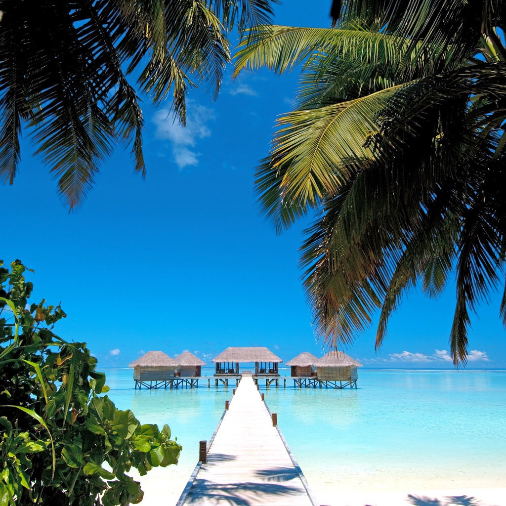 Обои море, пляж, бунгало, тропики, мальдивы, sea, beach, bungalow, tropics, the maldives разрешение 4275x2816 Загрузить