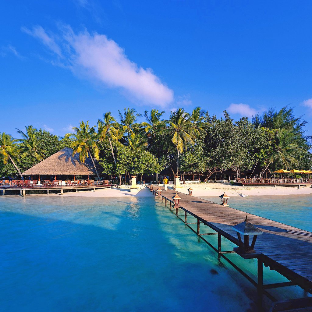 Обои море, пляж, остров, тропики, мальдивы, sea, beach, island, tropics, the maldives разрешение 2916x2228 Загрузить