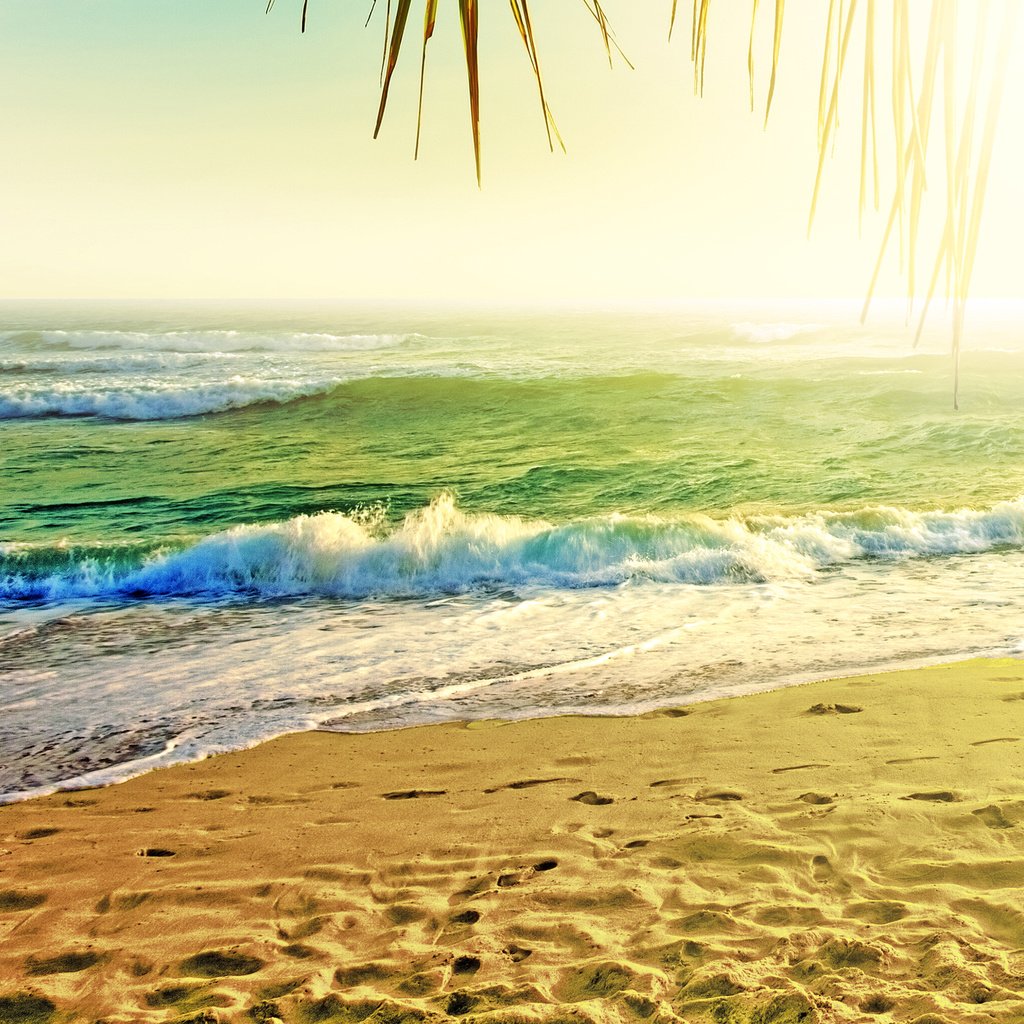 Обои солнце, море, пляж, отдых, тропики, the sun, sea, beach, stay, tropics разрешение 2560x1600 Загрузить