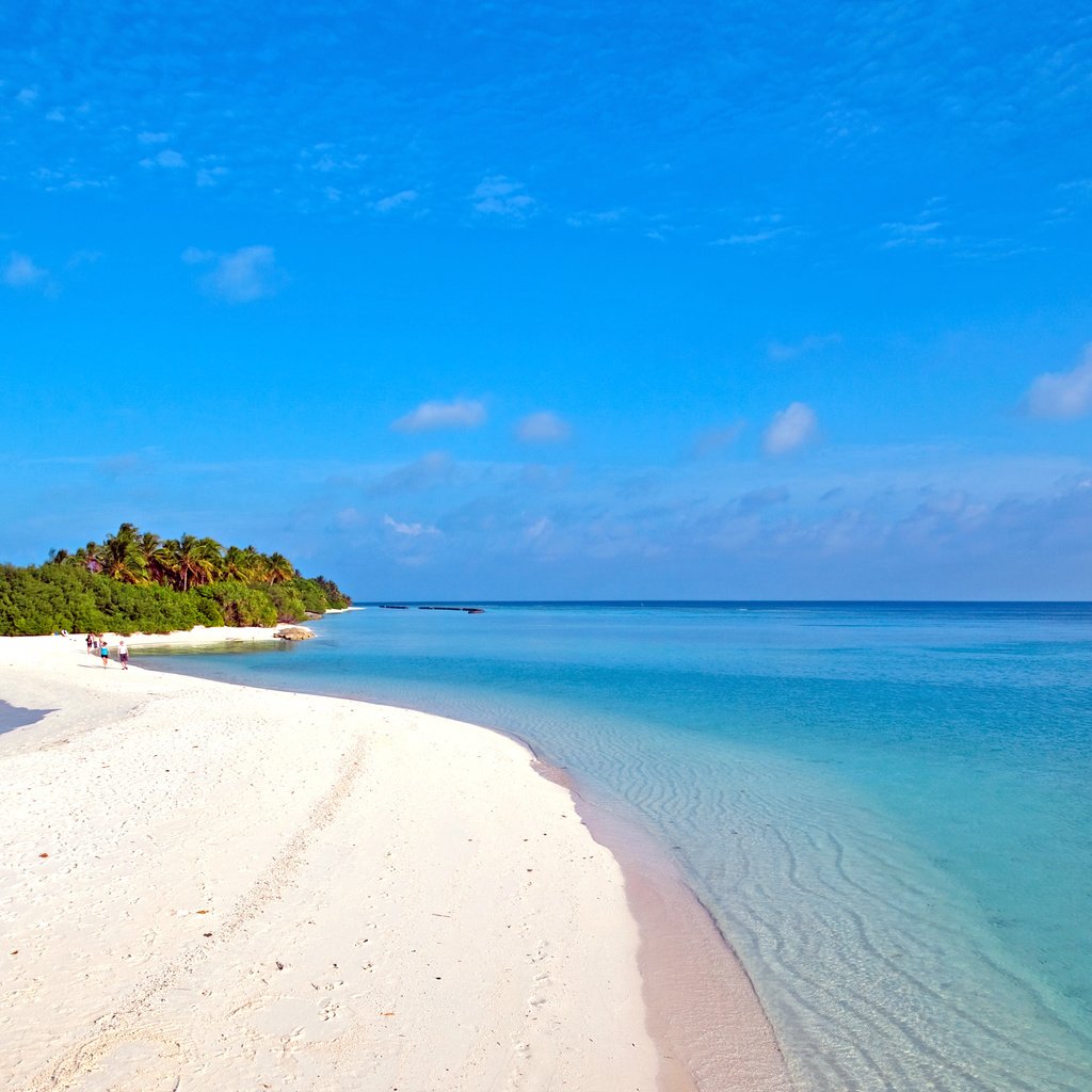 Обои море, пляж, отдых, остров, тропики, мальдивы, sea, beach, stay, island, tropics, the maldives разрешение 3779x2834 Загрузить