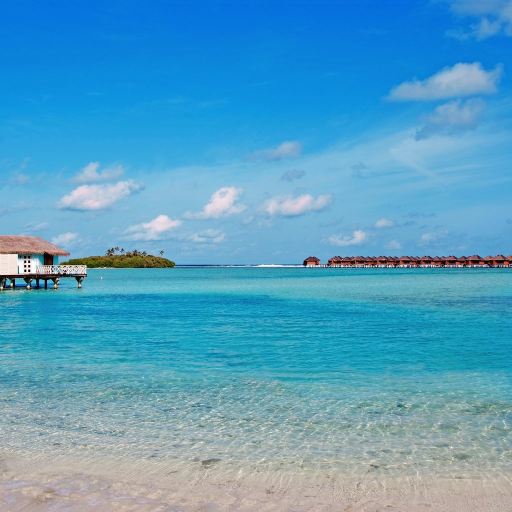 Обои море, отдых, остров, бунгало, тропики, мальдивы, sea, stay, island, bungalow, tropics, the maldives разрешение 4266x2864 Загрузить